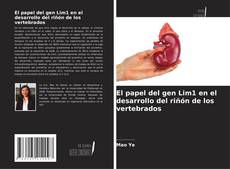 Portada del libro de El papel del gen Lim1 en el desarrollo del riñón de los vertebrados