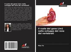 Portada del libro de Il ruolo del gene Lim1 nello sviluppo del rene dei vertebrati