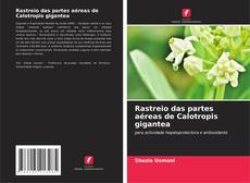 Borítókép a  Rastreio das partes aéreas de Calotropis gigantea - hoz