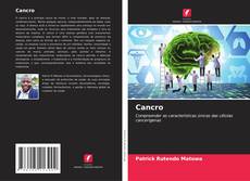 Buchcover von Cancro