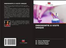 Bookcover of ENDODONTIE À VISITE UNIQUE