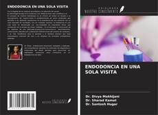 Buchcover von ENDODONCIA EN UNA SOLA VISITA