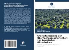 Bookcover of Charakterisierung der Oberflächenbeschaffenheit von tunesischen Olivenhainen