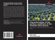 Couverture de Characterization of the surface conditions of the Tunisian olive groves