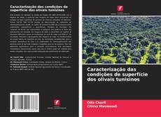 Bookcover of Caracterização das condições de superfície dos olivais tunisinos
