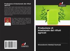 Capa do livro de Produzione di bioetanolo dai rifiuti agricoli 