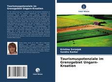 Bookcover of Tourismuspotenziale im Grenzgebiet Ungarn-Kroatien