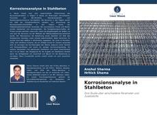 Korrosionsanalyse in Stahlbeton的封面