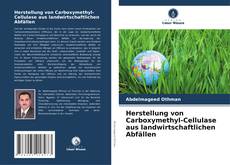 Herstellung von Carboxymethyl-Cellulase aus landwirtschaftlichen Abfällen kitap kapağı