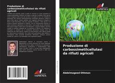 Capa do livro de Produzione di carbossimetilcellulasi da rifiuti agricoli 
