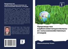Capa do livro de Производство карбоксиметилцеллюлазы из сельскохозяйственных отходов 