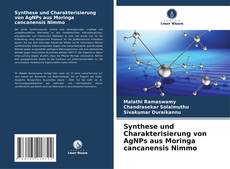 Synthese und Charakterisierung von AgNPs aus Moringa cancanensis Nimmo kitap kapağı