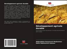 Portada del libro de Développement agricole durable