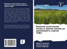 Portada del libro de Влияние уплотнения почвы и сроков посева на урожайность сортов тефа