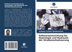 Bookcover of Softwareentwicklung für Hydrologie und Hydraulik der Straßenentwässerung