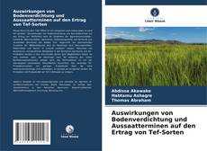 Portada del libro de Auswirkungen von Bodenverdichtung und Aussaatterminen auf den Ertrag von Tef-Sorten