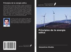 Buchcover von Principios de la energía eólica
