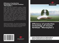 Portada del libro de Efficiency of production technology of enzyme fertilizer "Microzyme-1