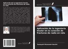 Buchcover von Aplicación de la ingeniería tisular en la curación de fracturas de radio en rata