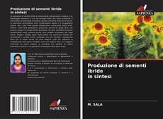 Buchcover von Produzione di sementi ibride in sintesi