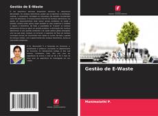 Gestão de E-Waste kitap kapağı