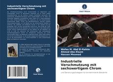 Bookcover of Industrielle Verschmutzung mit sechswertigem Chrom