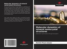 Capa do livro de Molecular dynamics of mineral nanocrystal structures 