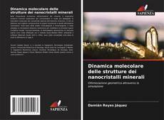 Bookcover of Dinamica molecolare delle strutture dei nanocristalli minerali