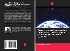 Copertina di Condutores de agregados familiares chefiados por crianças em Mityana, Uganda