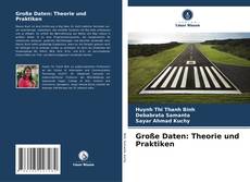 Bookcover of Große Daten: Theorie und Praktiken
