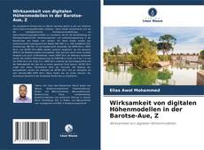 Wirksamkeit von digitalen Höhenmodellen in der Barotse-Aue, Z kitap kapağı