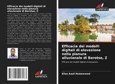 Copertina di Efficacia dei modelli digitali di elevazione nella pianura alluvionale di Barotse, Z