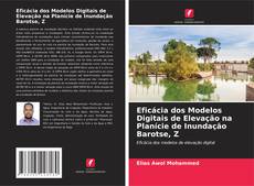 Eficácia dos Modelos Digitais de Elevação na Planície de Inundação Barotse, Z kitap kapağı