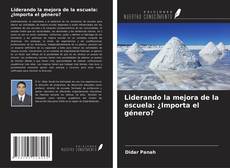 Обложка Liderando la mejora de la escuela: ¿Importa el género?