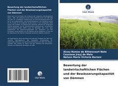Portada del libro de Bewertung der landwirtschaftlichen Flächen und der Bewässerungskapazität von Dämmen