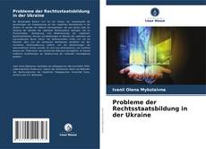Probleme der Rechtsstaatsbildung in der Ukraine kitap kapağı