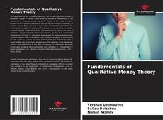 Fundamentals of Qualitative Money Theory的封面