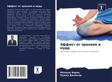 Bookcover of Эффект от пранаям и мудр