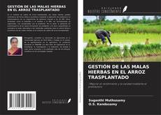 Обложка GESTIÓN DE LAS MALAS HIERBAS EN EL ARROZ TRASPLANTADO