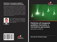 Politiche di trasporto pubblico terrestre e normative peruviane kitap kapağı
