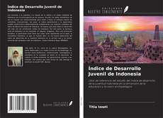 Bookcover of Índice de Desarrollo Juvenil de Indonesia
