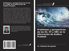 Copertina di Problemas y perspectivas de las SC, ST y OBC en la bifurcación de Andhra Pradesh