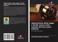 Buchcover von Applicazione della legge e diritti umani nelle società africane post-belliche