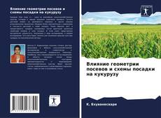 Capa do livro de Влияние геометрии посевов и схемы посадки на кукурузу 