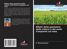 Bookcover of Effetti della geometria delle colture e del sesto d'impianto sul mais