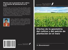 Copertina di Efectos de la geometría del cultivo y del patrón de plantación en el maíz