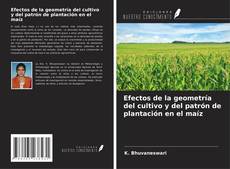 Обложка Efectos de la geometría del cultivo y del patrón de plantación en el maíz