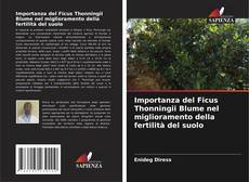 Buchcover von Importanza del Ficus Thonningii Blume nel miglioramento della fertilità del suolo