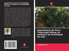 Portada del libro de Importância da Ficus Thonningii Blume na melhoria da fertilidade do solo