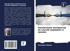 Заключение контрактов на случай задержек и срывов的封面